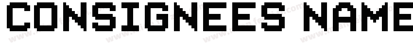 CONSIGNEES NAME AND ADDRESS字体转换